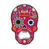 DESTAPADOR FLEXI CALAVERA