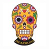 Magneto PVC Calavera