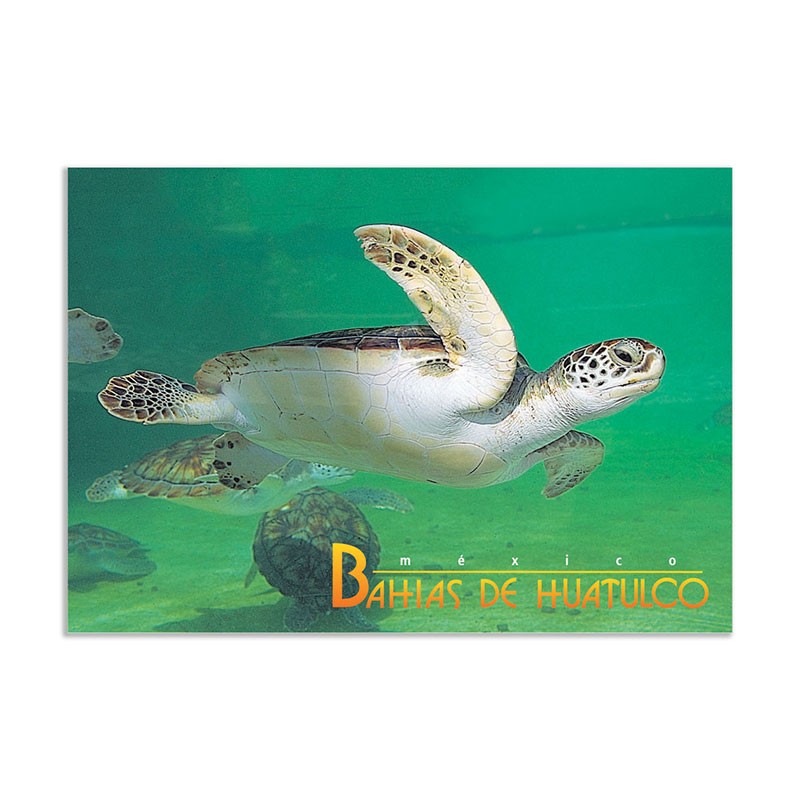 Tarjeta postal de una tortuga marina, souvenir y recuerdo de Huatulco, México