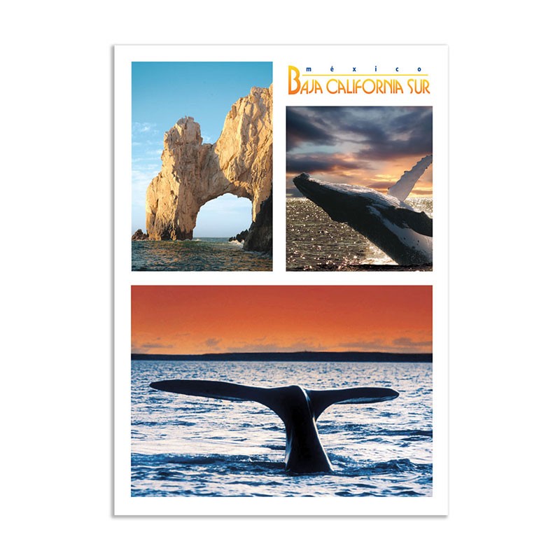 Tarjeta postal con varias vistas de Los Cabos, souvenir y recuerdo de Los Cabos, México