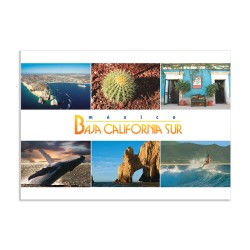 Tarjeta postal con varias vistas de Los Cabos, souvenir y recuerdo de Los Cabos, México