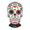 Magneto Pvc Calavera