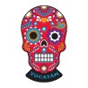 Magneto Pvc Calavera