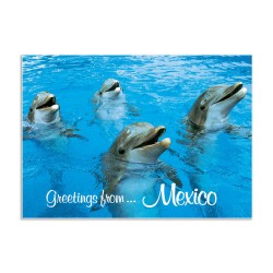 Delfines