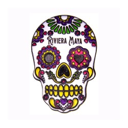 Magneto Resina Calavera