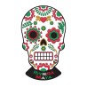 Magneto Pvc Calavera