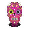 Magneto Pvc Calavera