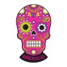 Magneto Pvc Calavera