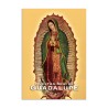 La Virgen De Guadalupe