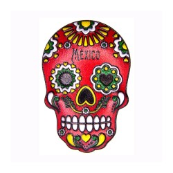 Magneto Resina Calavera