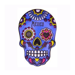 Magneto de Resina en forma de calavera, 6 colores. Souvenir de la Ciudad de México, CDMX, México